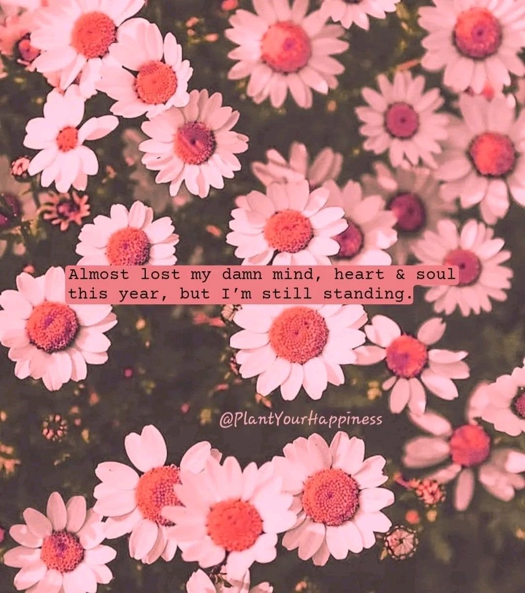 Nakia Jones tweet media