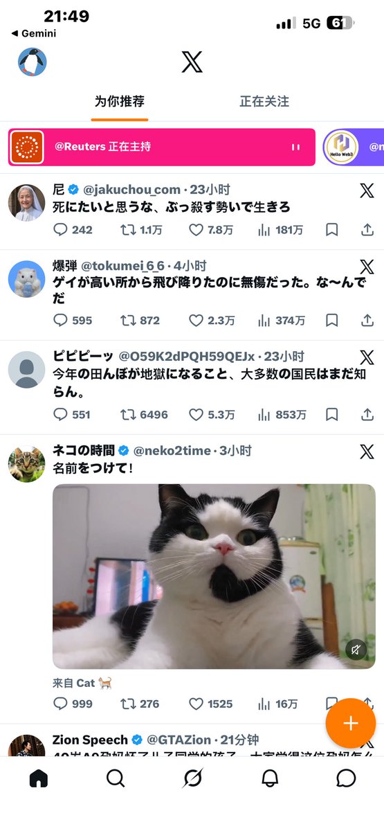 屿见 tweet media