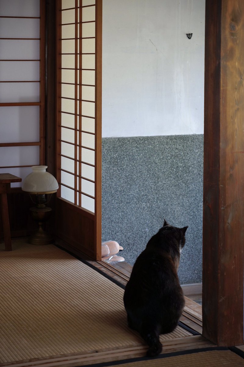 trois 花の会　5/16 6/13@静岡アトリエ tweet media