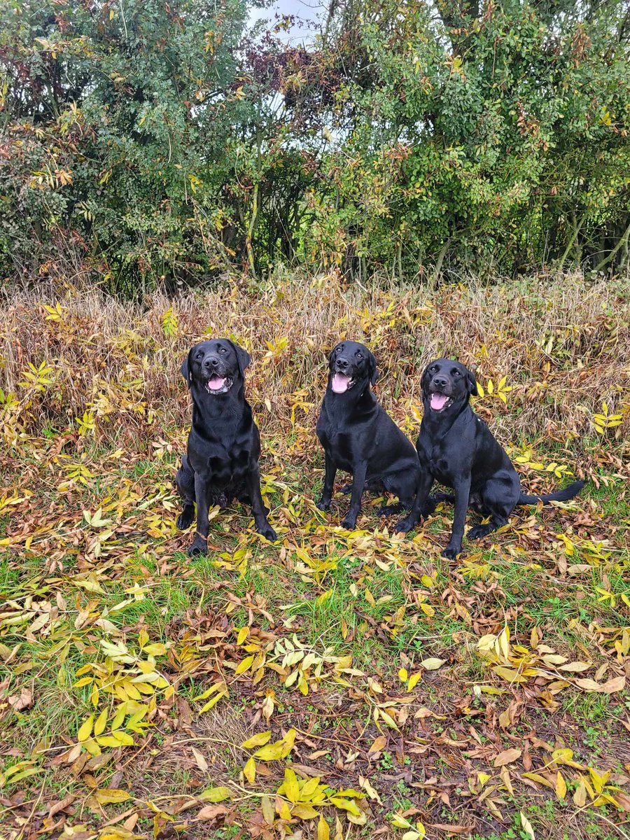 Paul Read GB tweet media