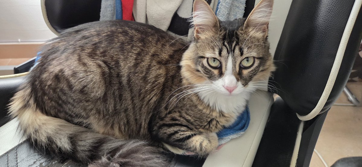 Greaderさま tweet media