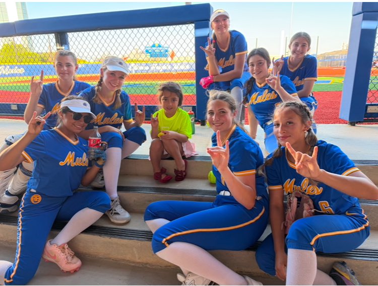 AHHS Softball tweet media