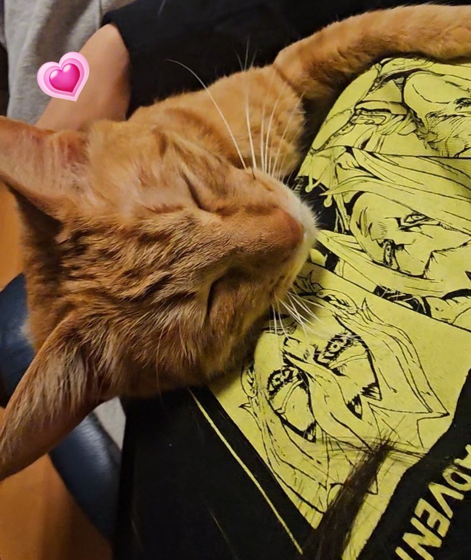 Kimeko【サブ垢】 tweet media