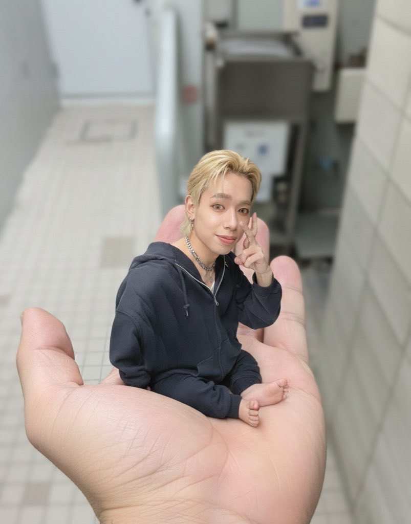 LUX / NOX Official Account tweet media