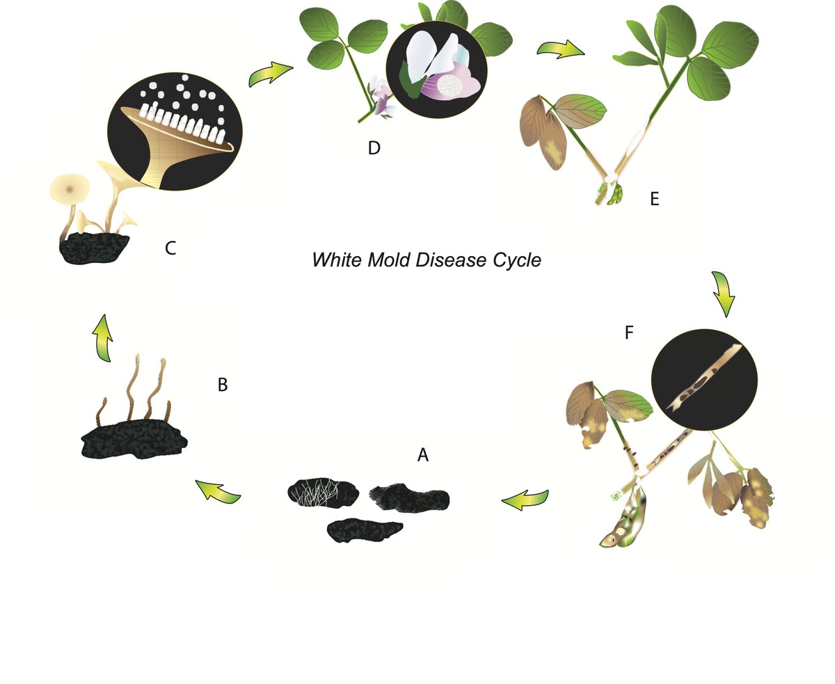 Crop Protection Network tweet media