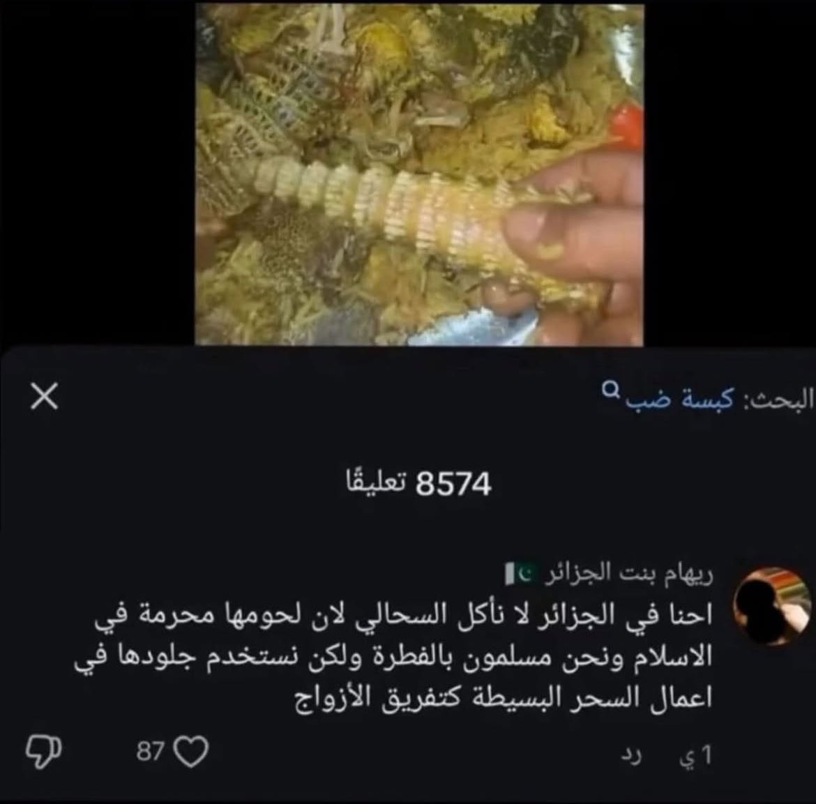 مشعل tweet media