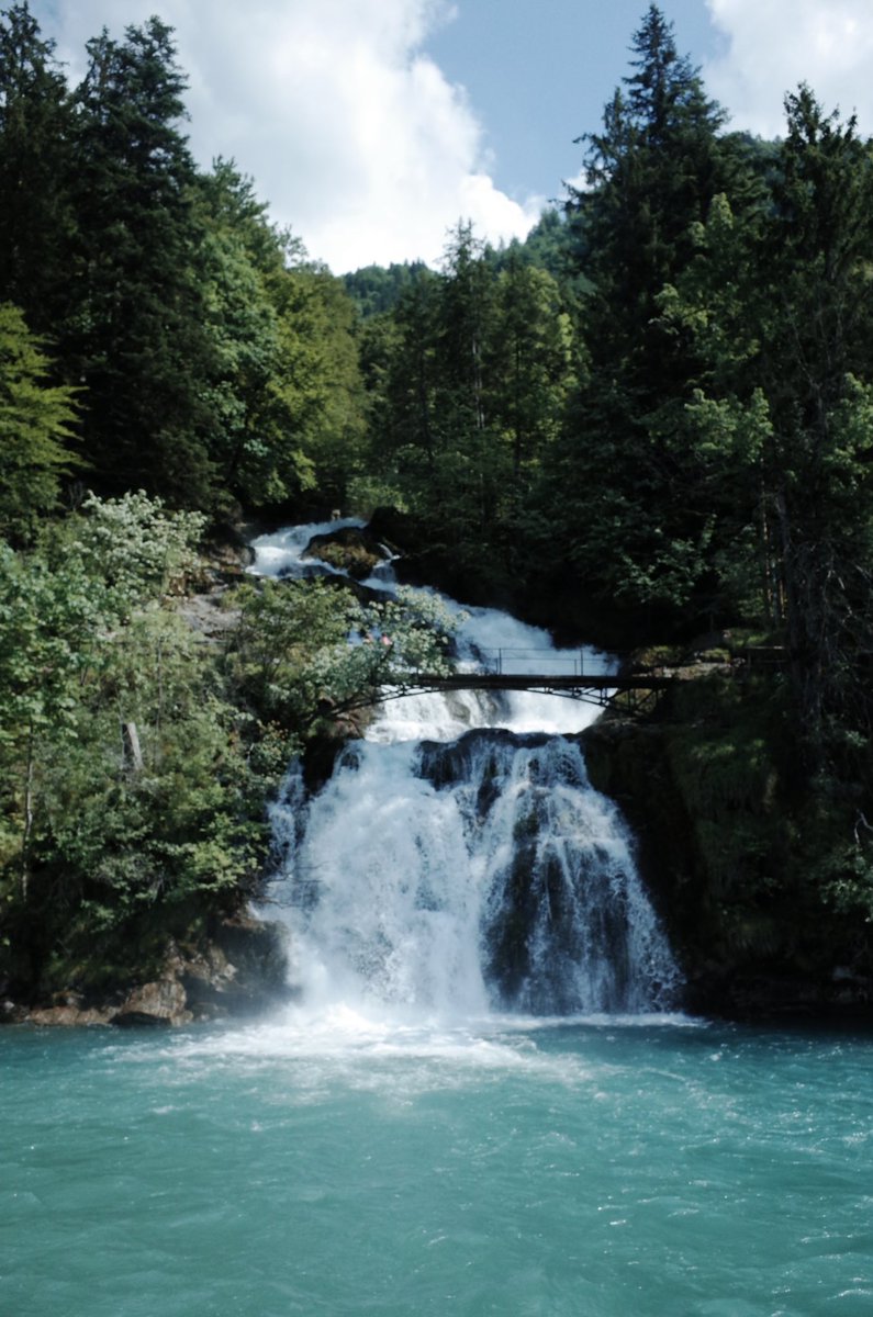 ᶜᶜᶜᶜᶜᶜᶜ tweet media