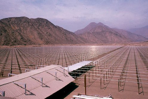 Pieter Ibelings tweet media