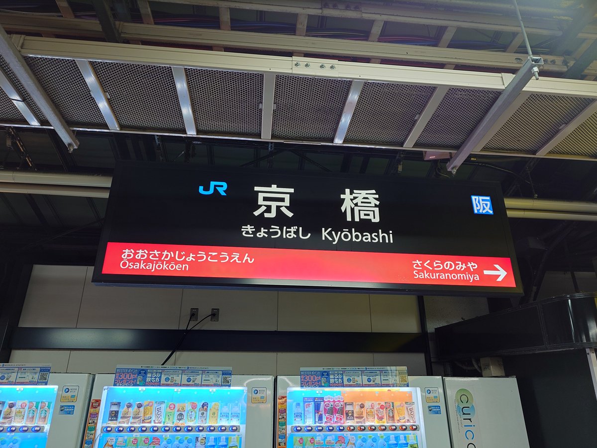 Jimpei Hitsuwari (じんぺー) tweet media