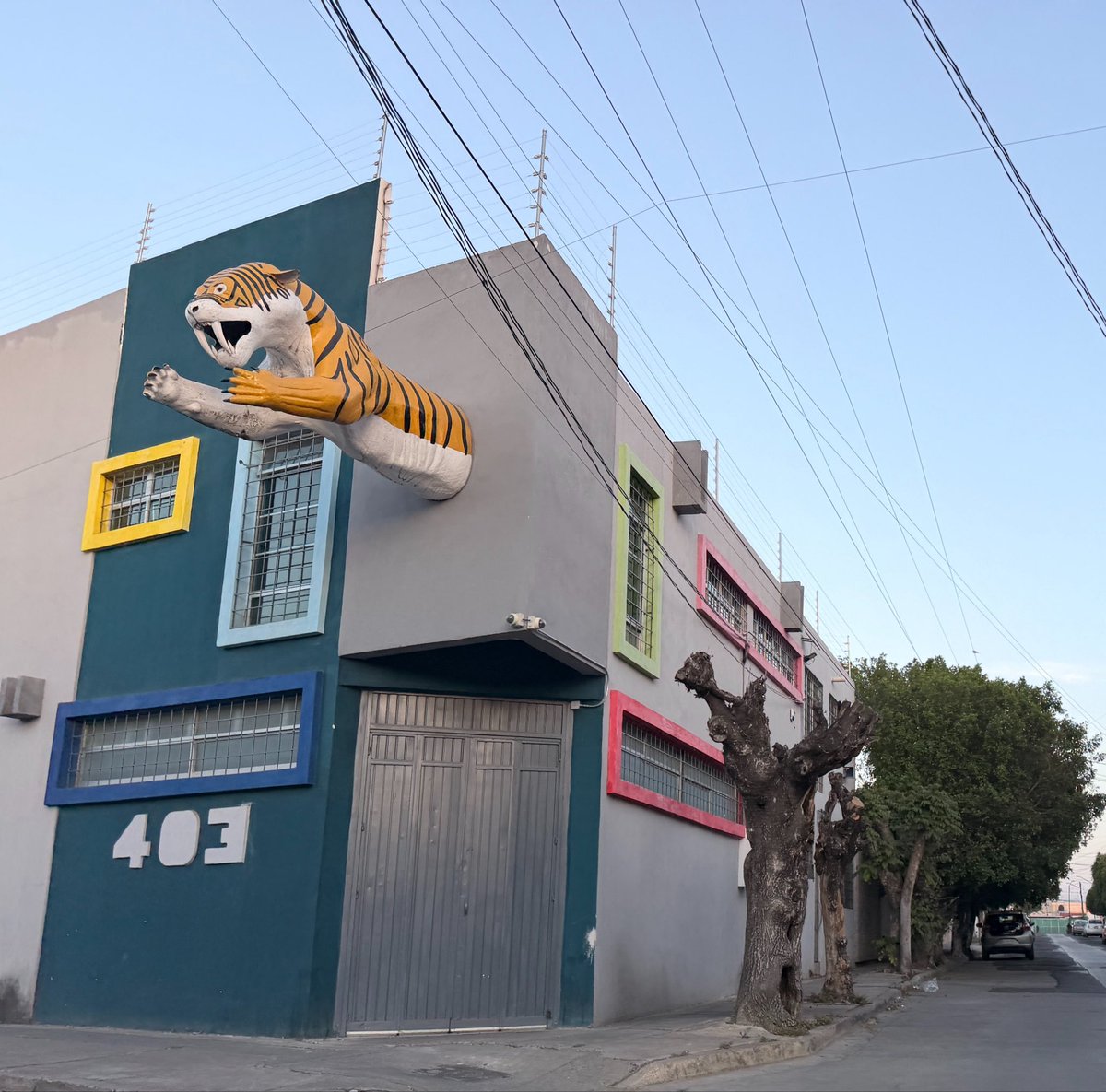 leonésconflow tweet media