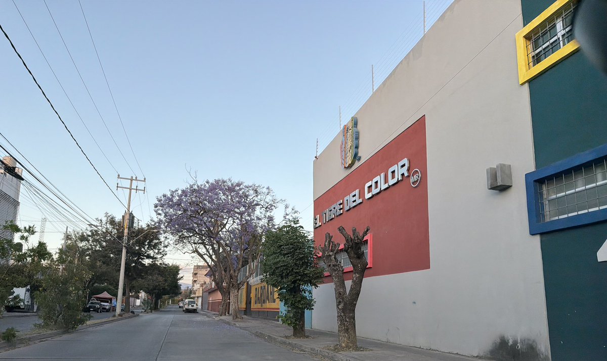 leonésconflow tweet media