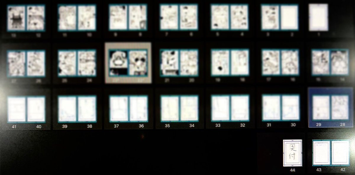 きいち🦥関西けもケF-04/miyubi tweet media