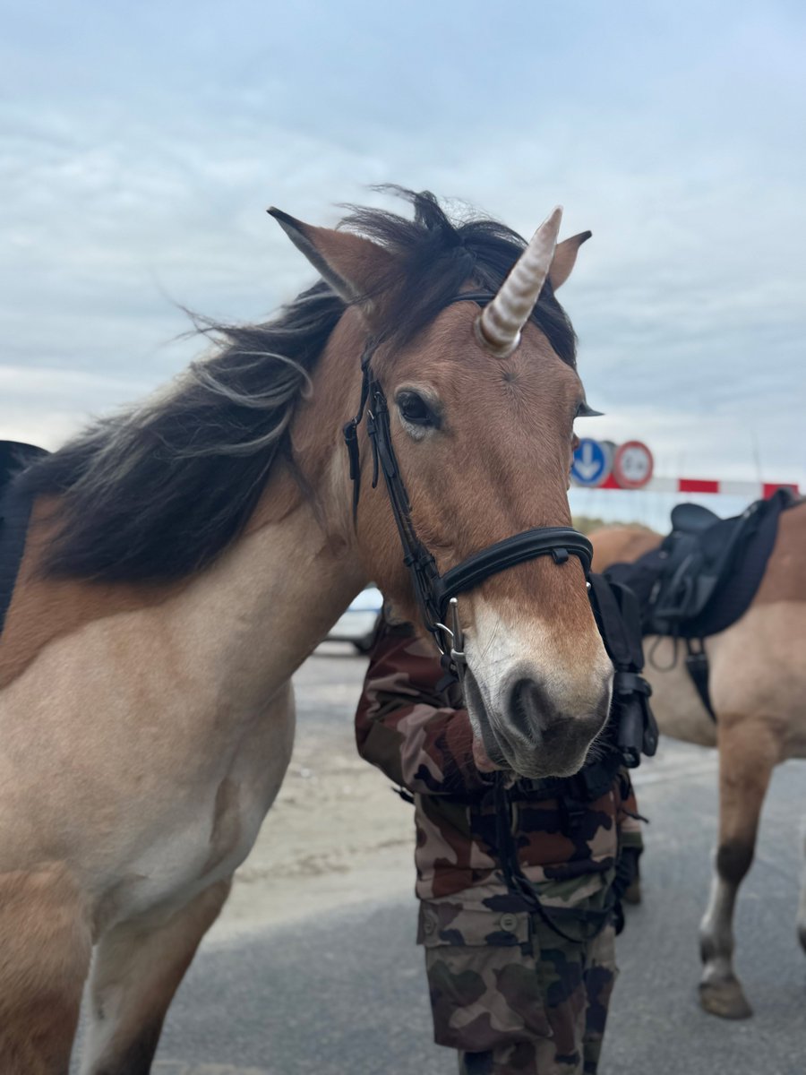 Gendarmerie de la Somme tweet media