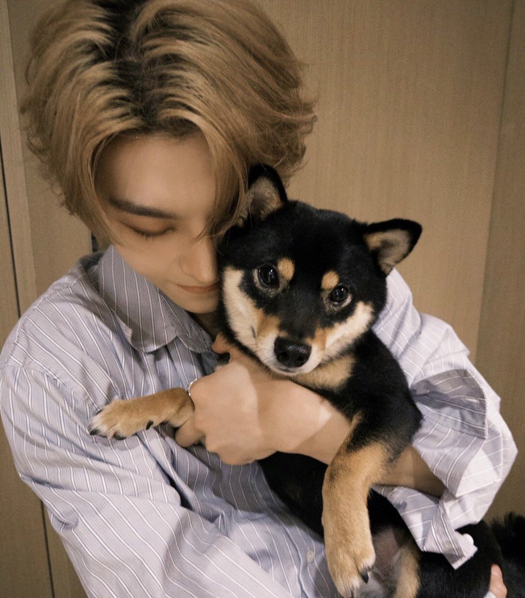 法ᵒ̴̶̷᷄ ˡ̼̮ ᵒ̴̶̷᷅ tweet media