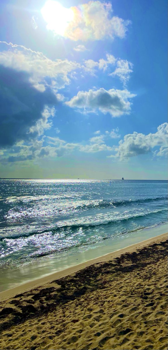 TimothyBeachRes's tweet photo. Don't worry. Beach happy. Join us! https://t.co/BTU2E7jZUp