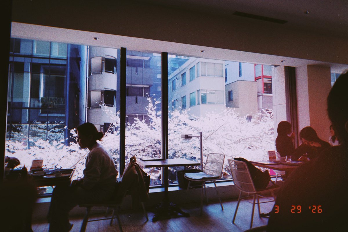 ごったん tweet media