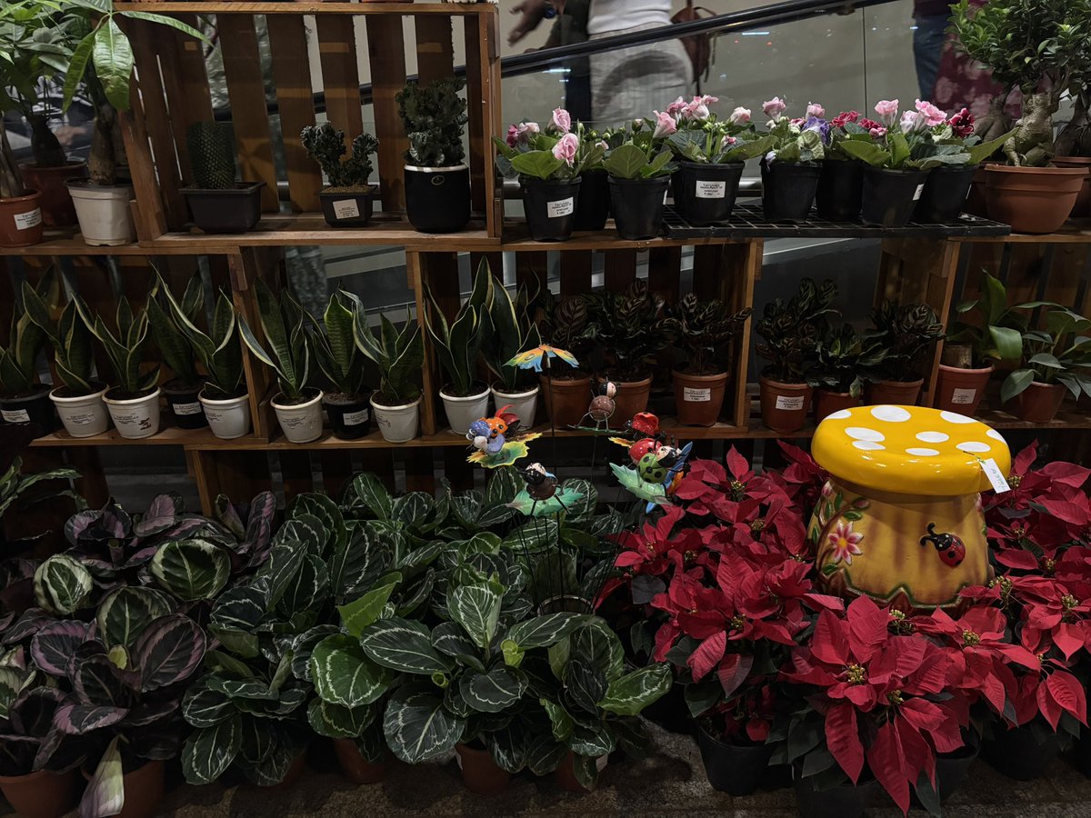 a : HATER tweet media