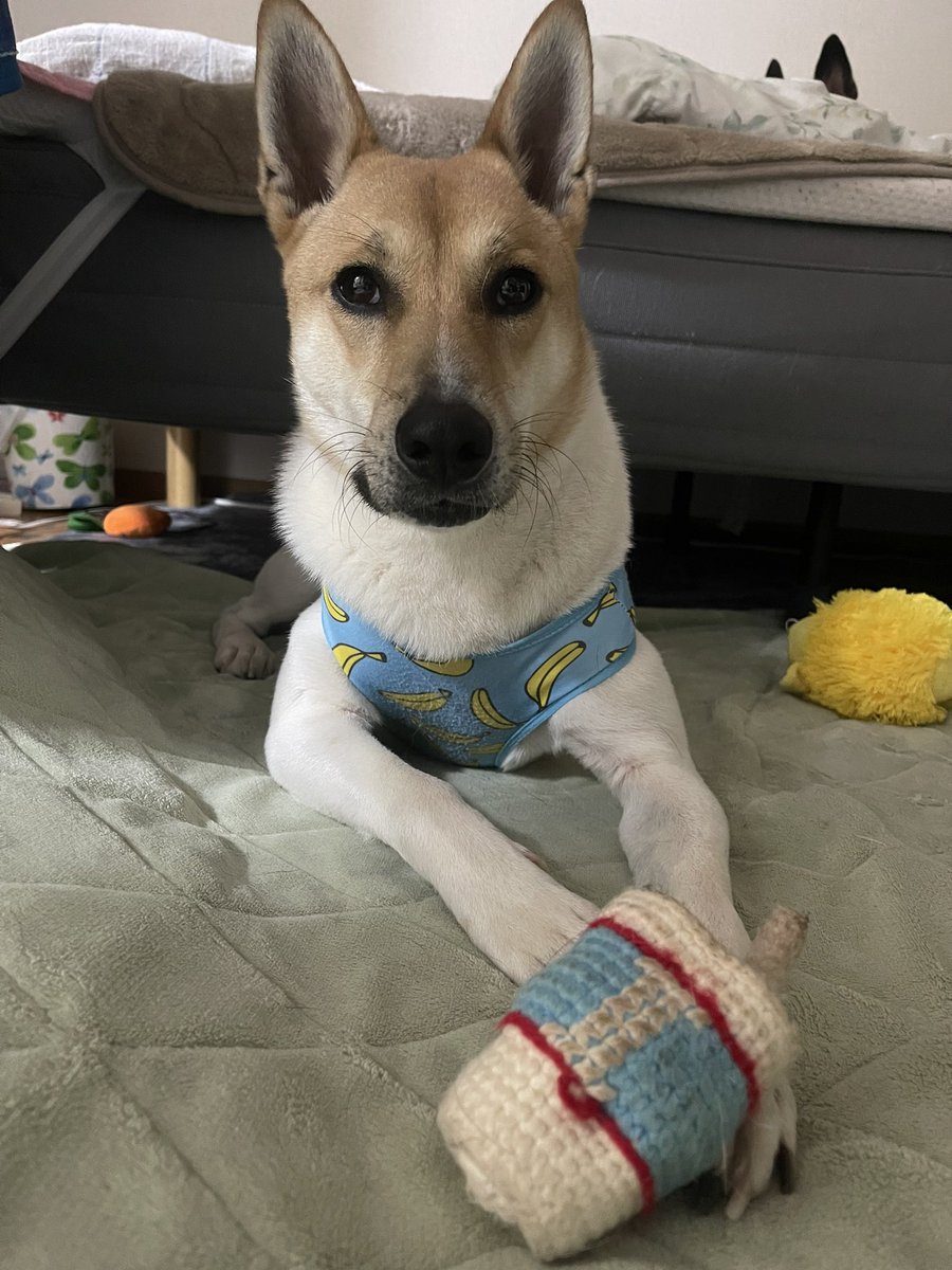 水野有彩 tweet media