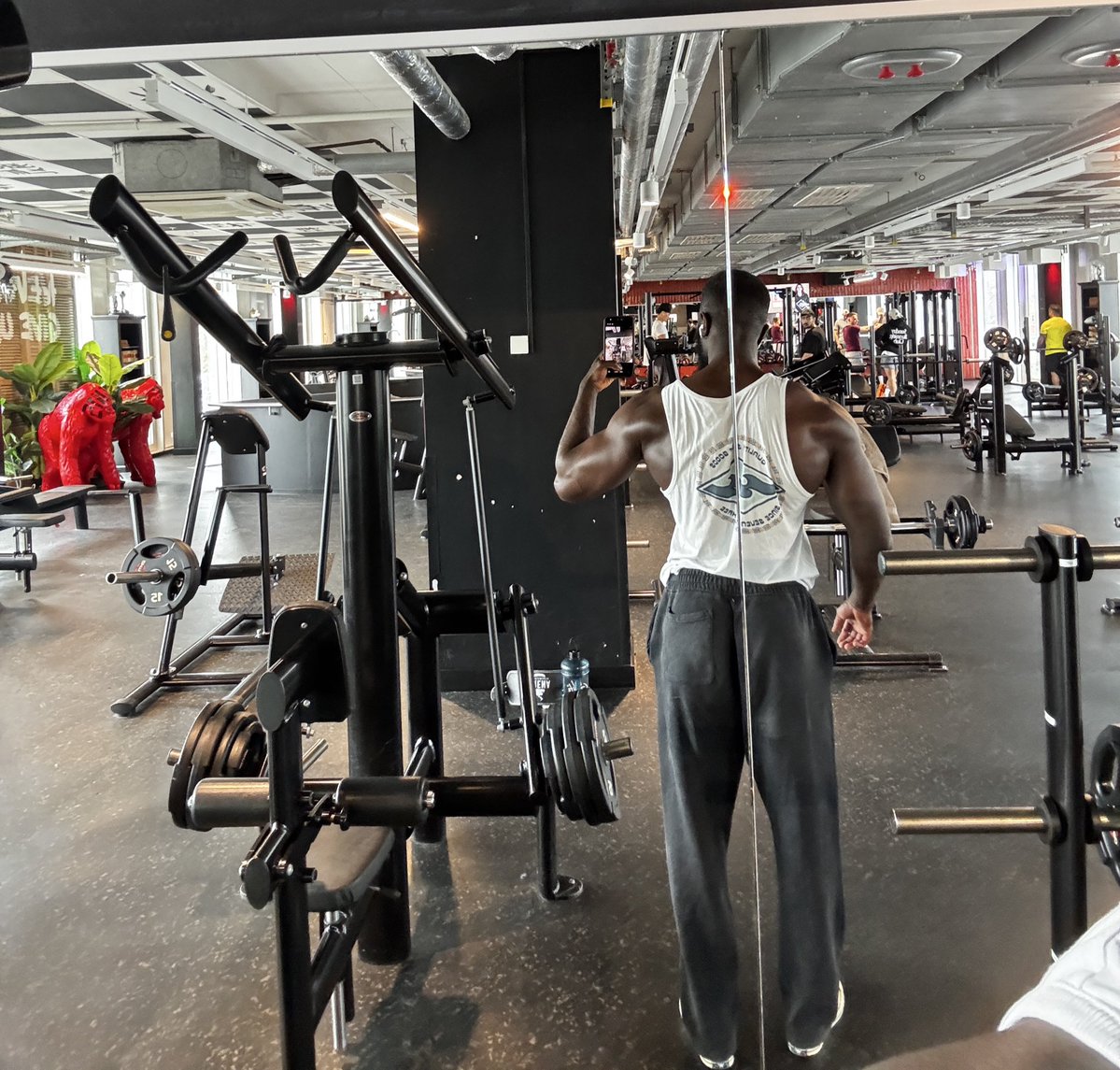 Jacob | Athlete & Coach tweet media