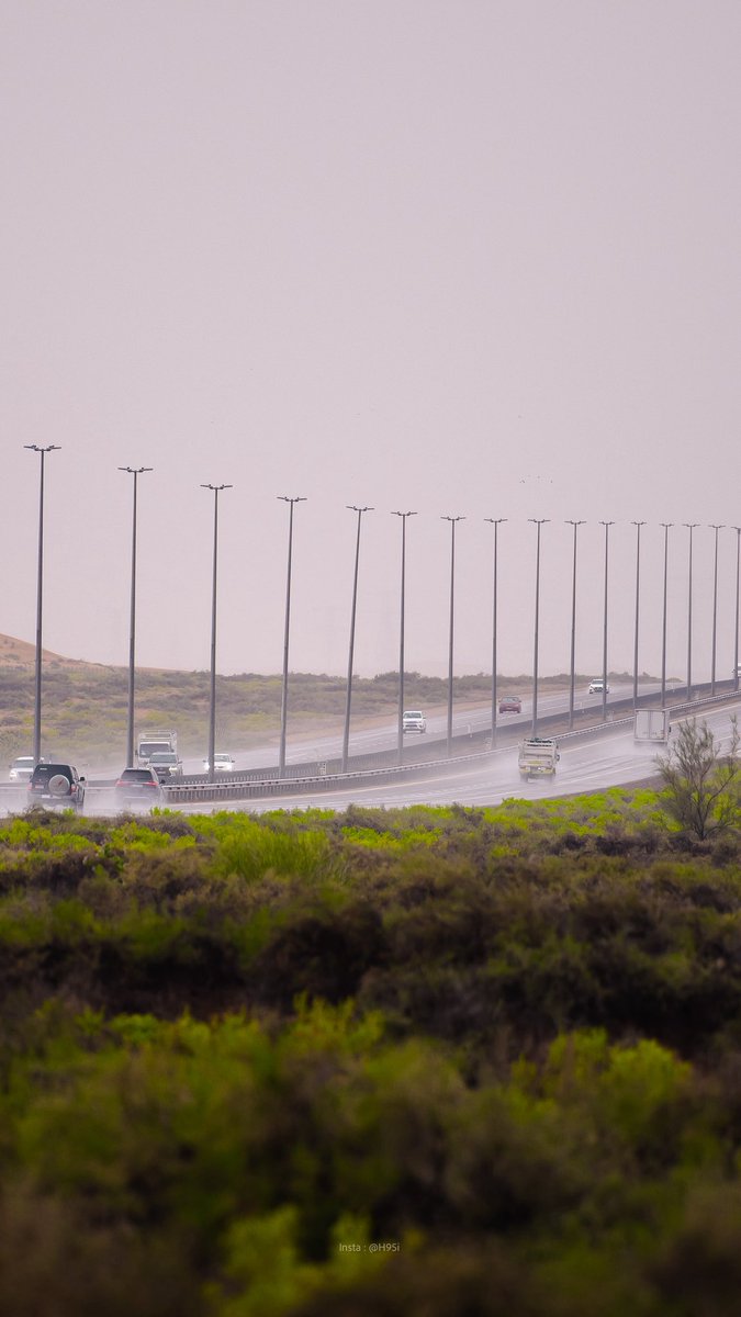 هزاع. tweet media