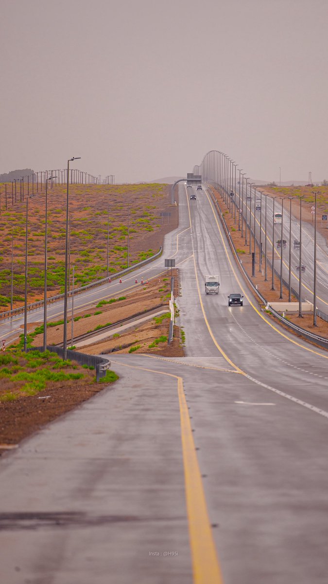 هزاع. tweet media