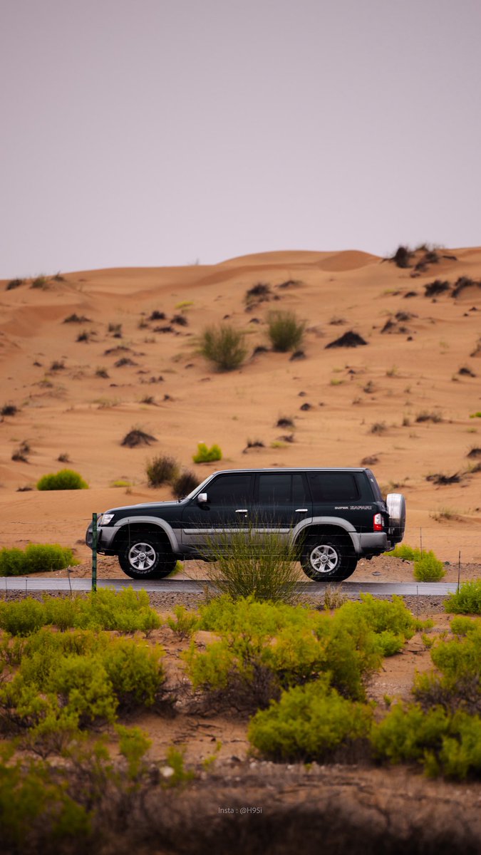 هزاع. tweet media