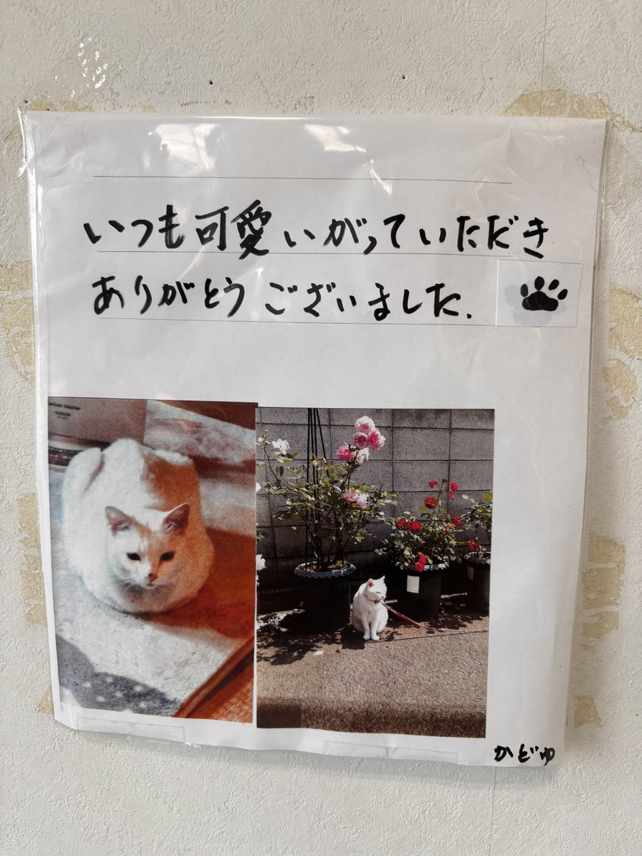 ノムラ tweet media