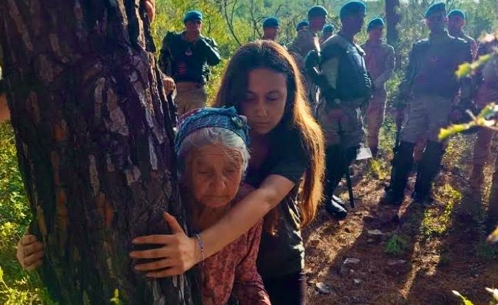 DEMekoloji tweet media