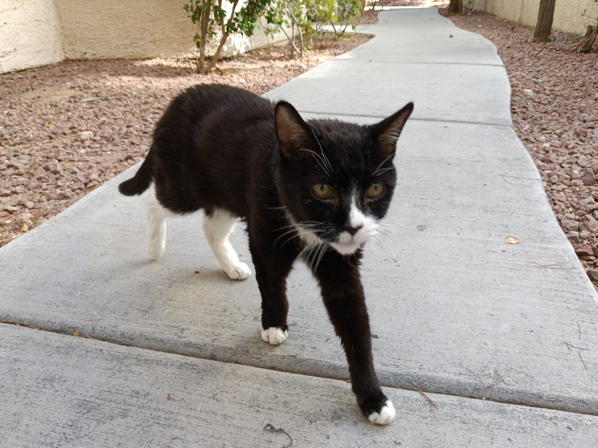 Chetter ๐ข๐ฝโ๐จ Beacon for Democracy tweet media