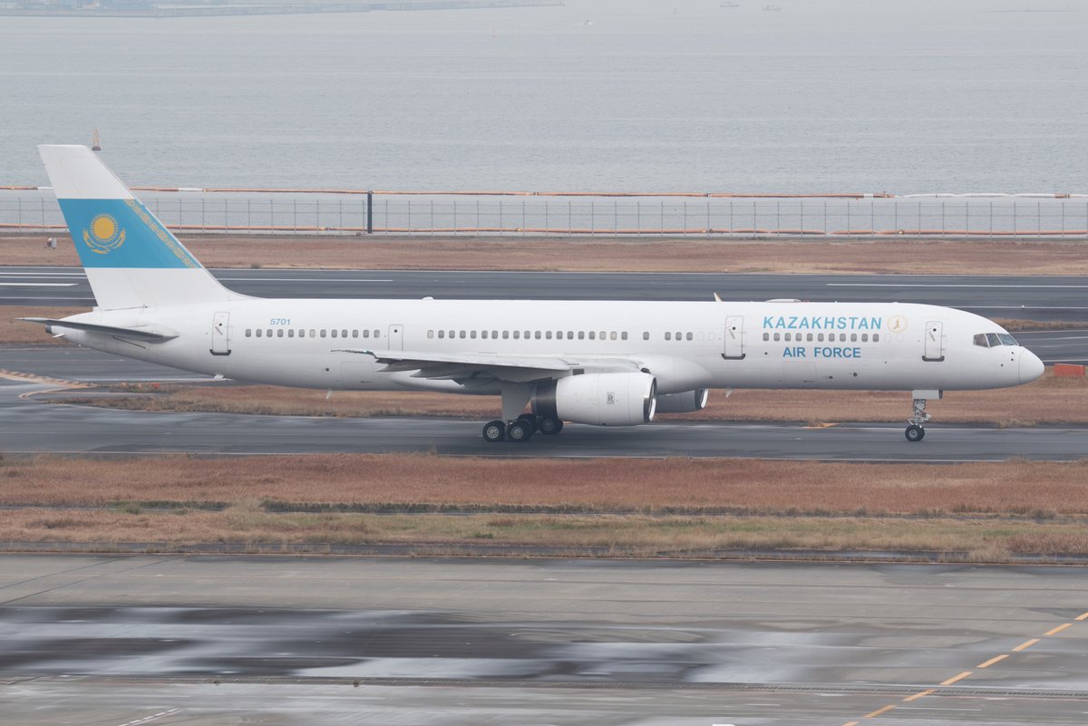 Springbok tweet media