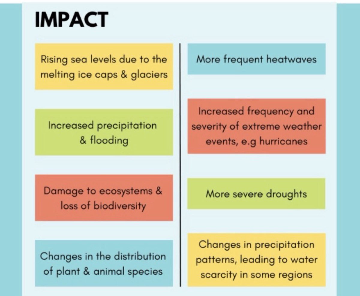 CANEasternAfric's tweet photo. CAN Eastern Africa is part of the global Climate Action Network (CAN) International,a powerful movement of 2,000+ NGOs across 130+ countries driving climate action.

As the Eastern Africa node, we connect you to advocacy, working groups &amp; impactful campaigns 🤝

#CANEasternAfrica https://t.co/sIjNyT12z9