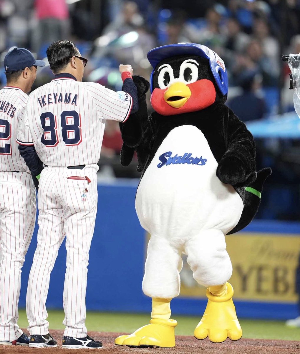 Tokyo Yakult Swallows EN tweet media