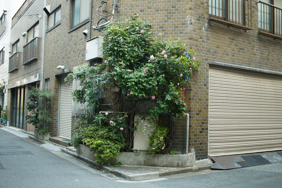 ロクノク@東京ゲームダンジョン5/3 tweet media