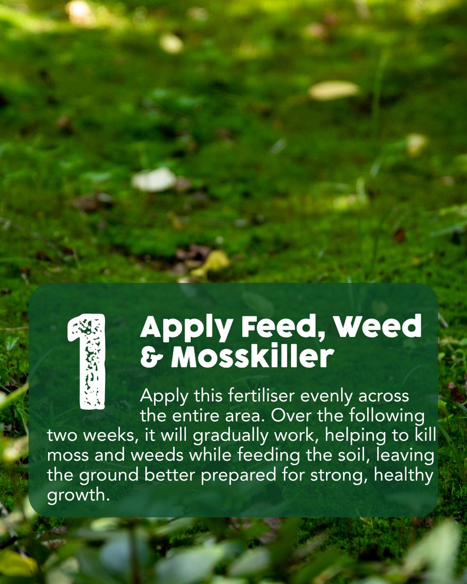 thegrasspeople's tweet image. Dealing with a mossy lawn doesn’t have to be a struggle!

Follow our expert guide to remove moss, feed your soil, and overseed for lasting results.

#TheGrassPeople #LawnCareMadeEasy #MossFreeLawn #LawnTransformation #GardenCare