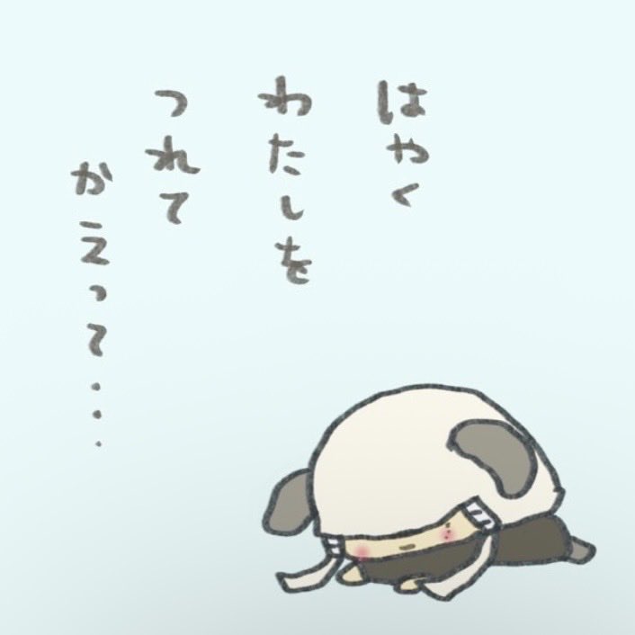 ぐりこ🥕 tweet media