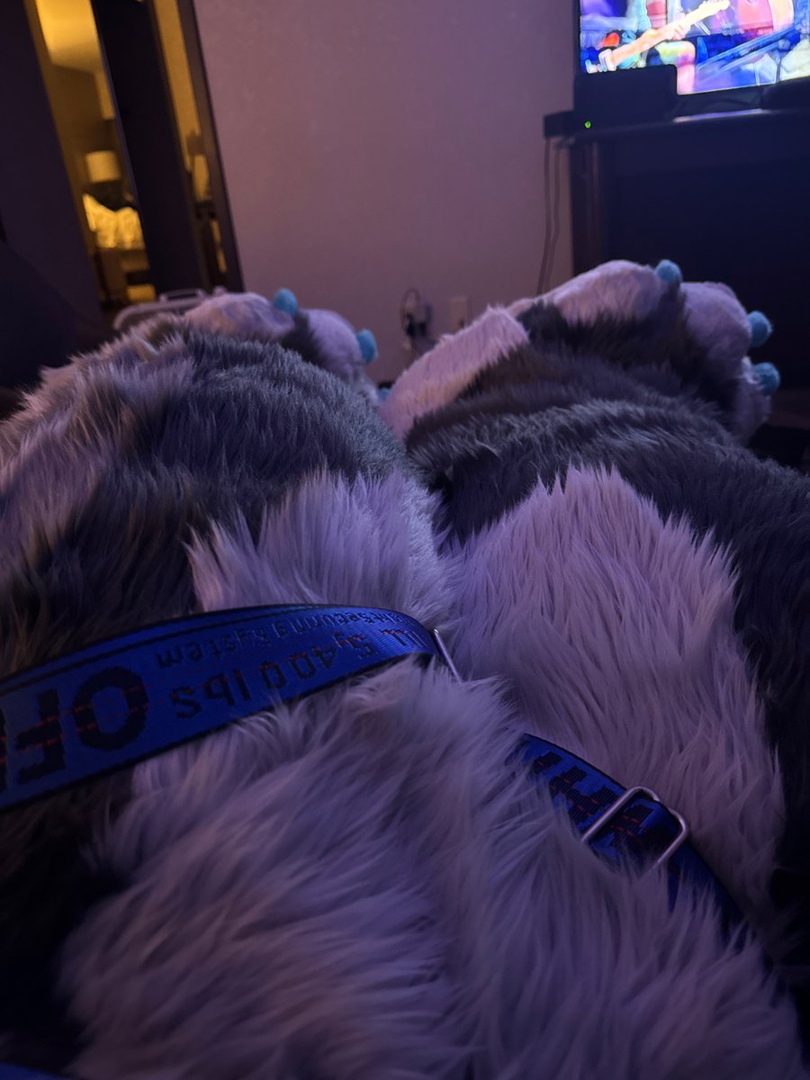 🐉Vironect🐉 tweet media