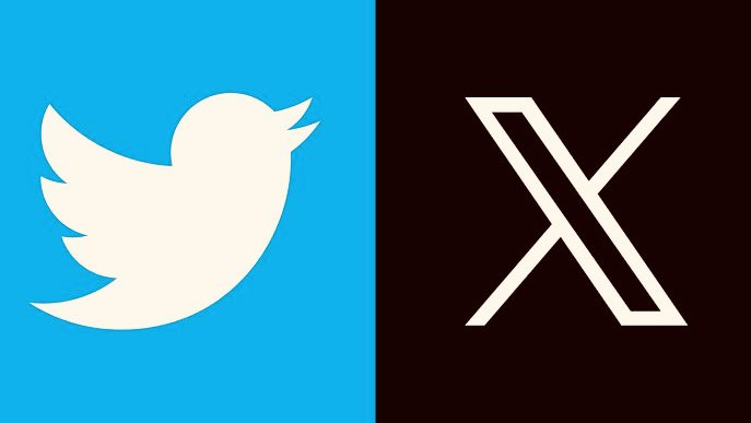 Central do Selinho Azul tweet media