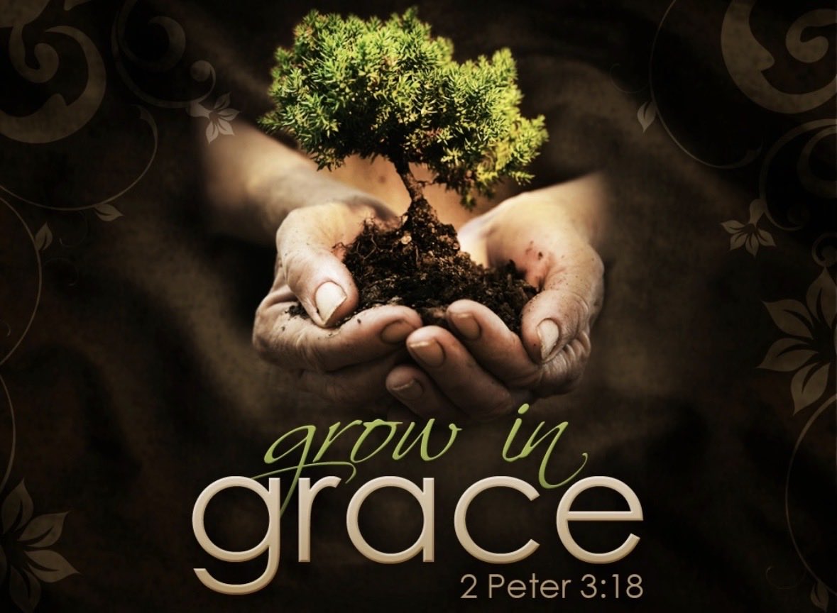 Holy Bred tweet media