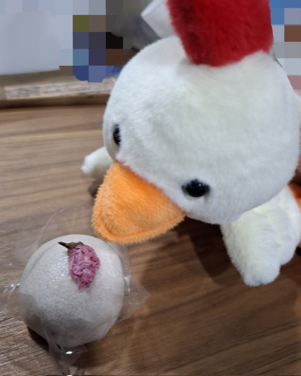 佐々木琴子 tweet media