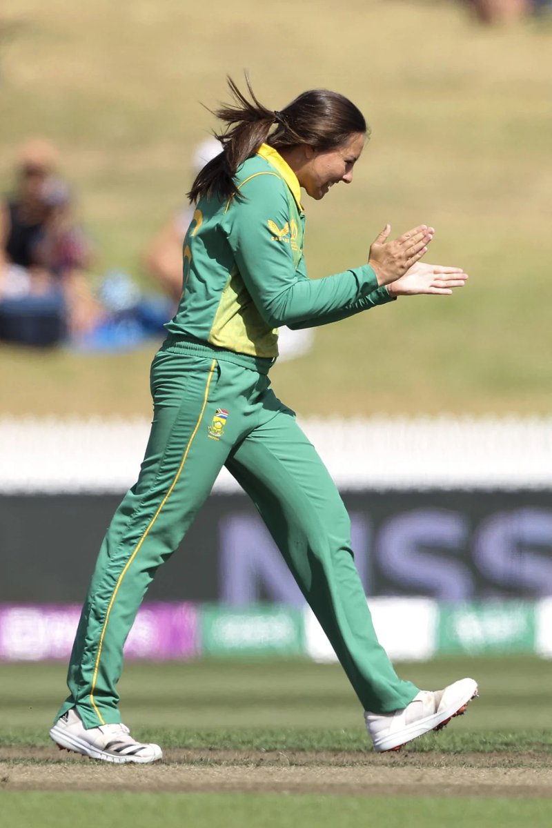 hypocaust tweet media