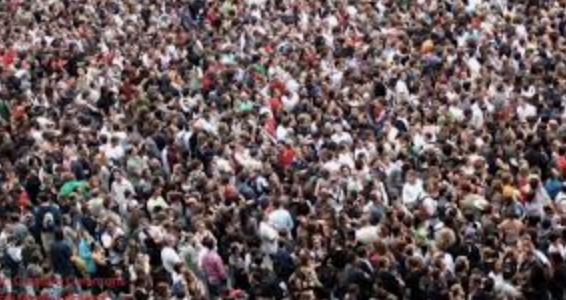 Catherine Blaiklock tweet media