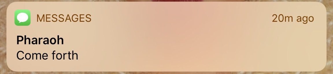 Stunna ⛧ tweet media