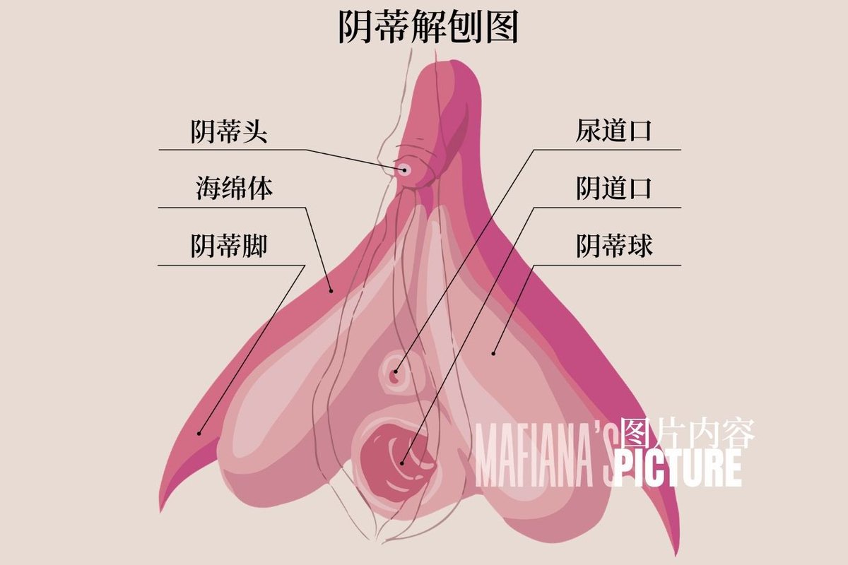 Mafiana tweet media