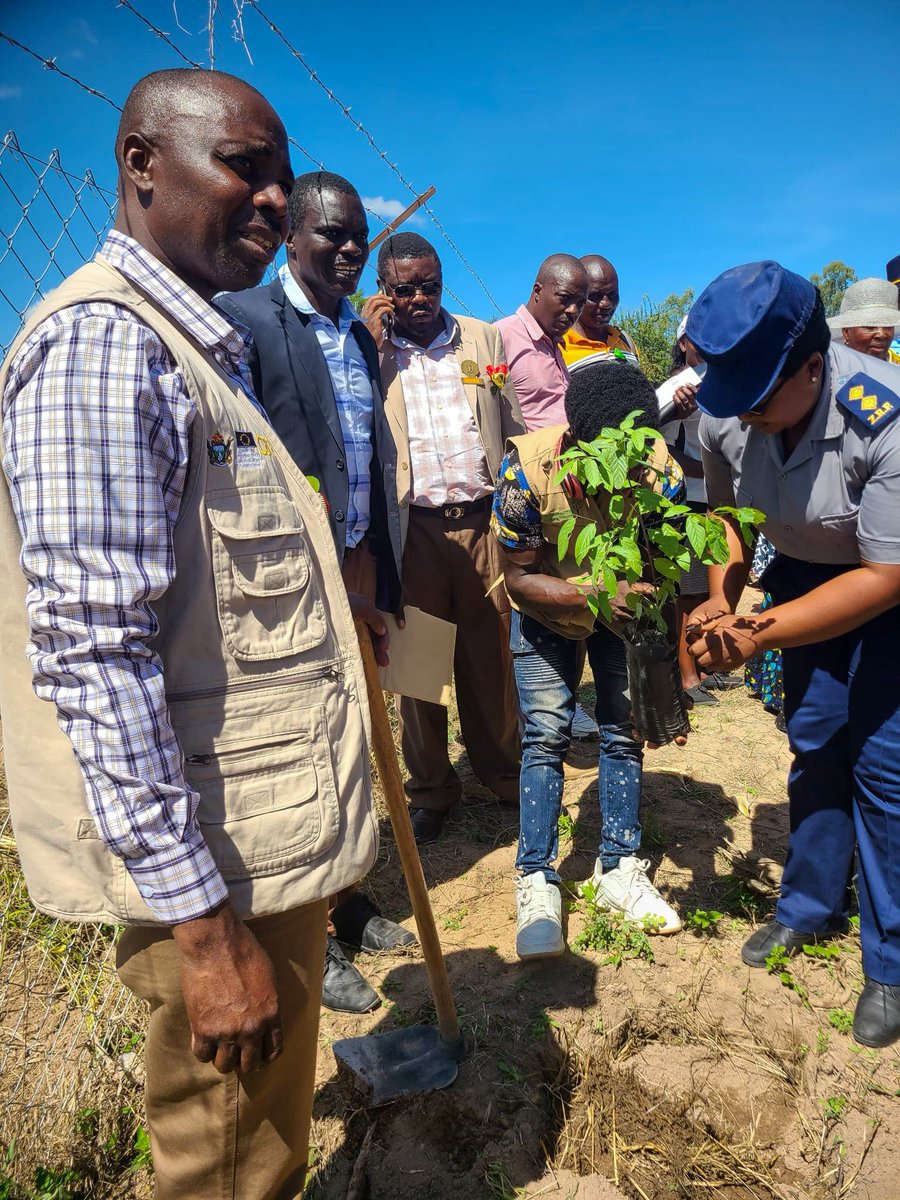 ebztrust tweet media