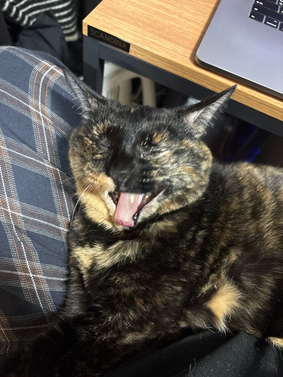 안마루AHNMARU tweet media