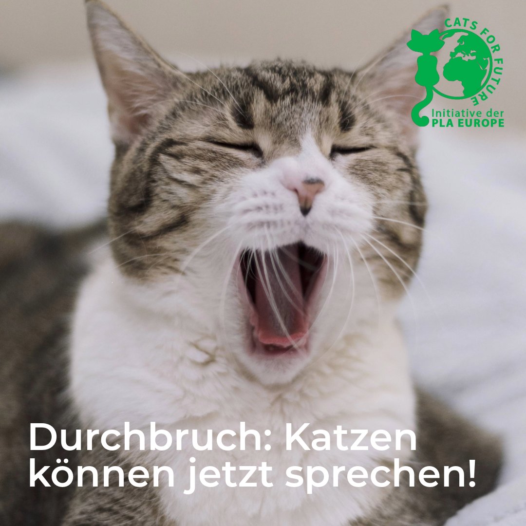 Cats for Future tweet media