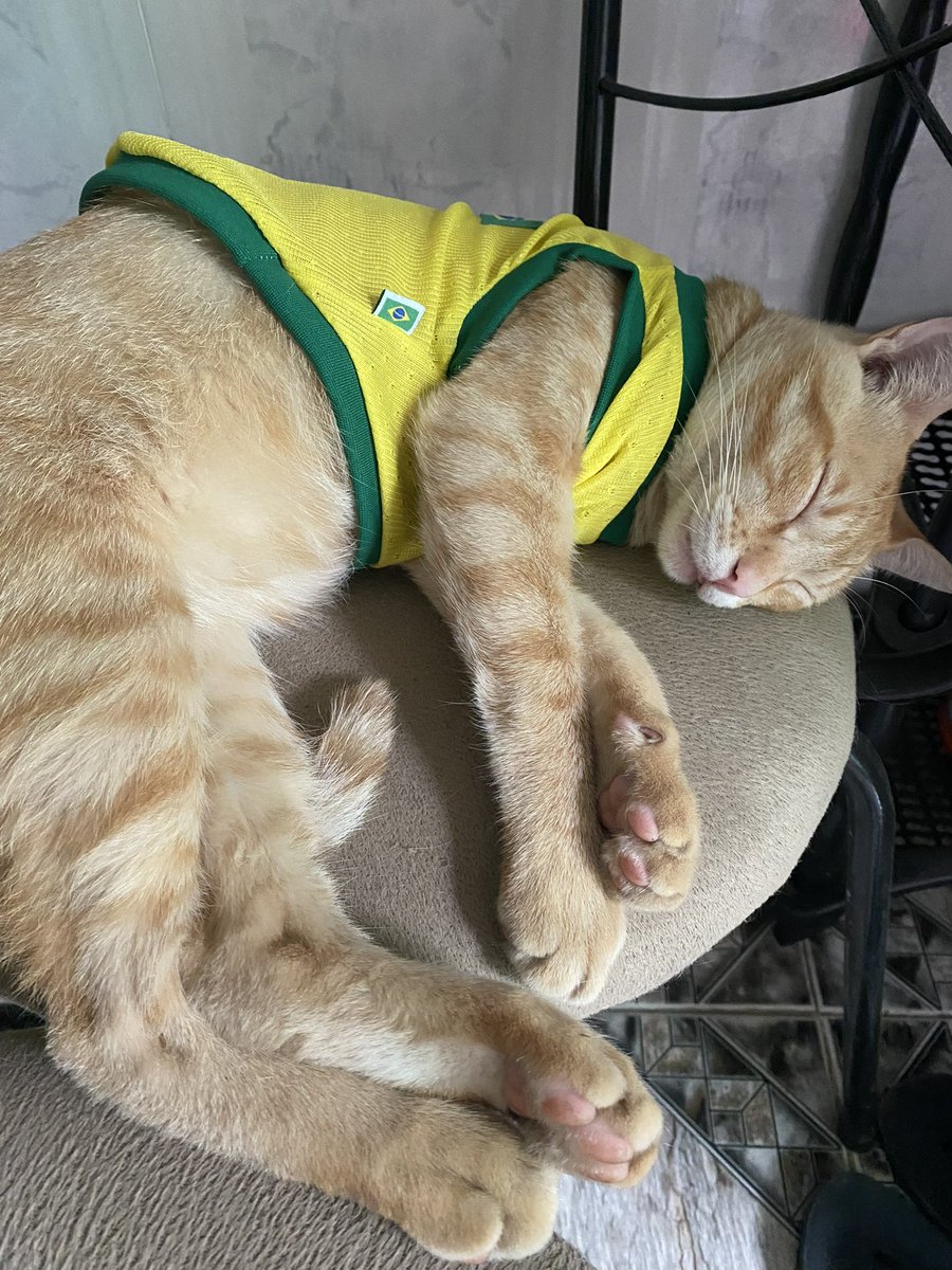 Elaine 💢 tweet media