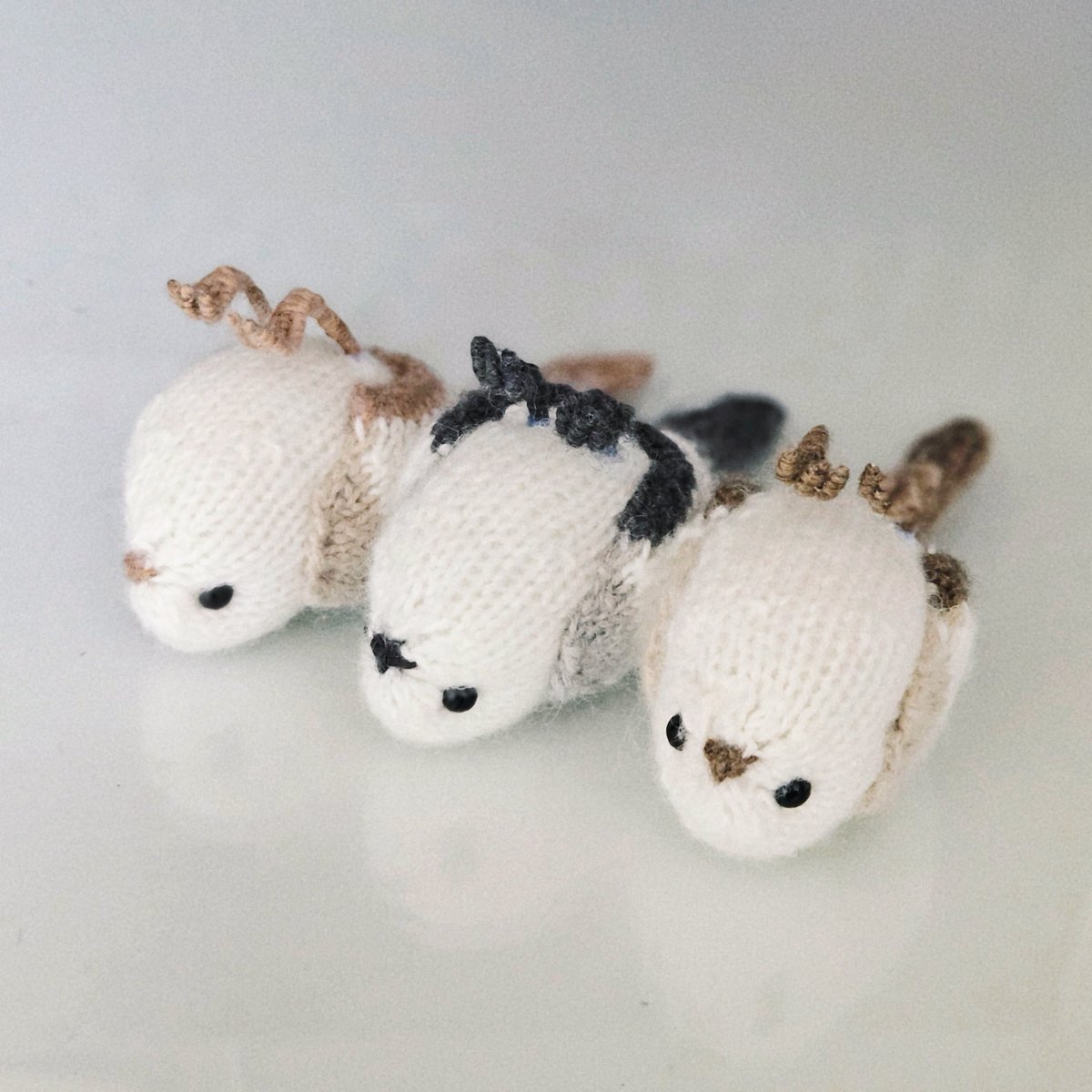 주모여기(뜨개구리 사랑중) tweet media