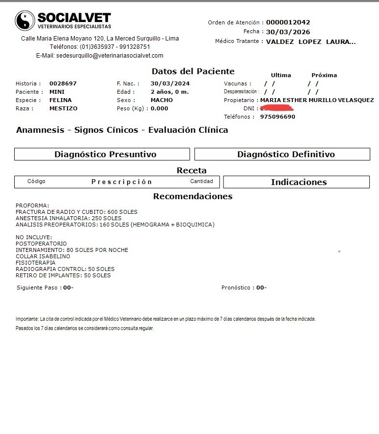 Gatánica tweet media