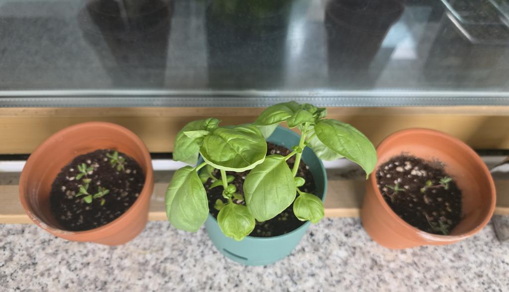 이브임. tweet media